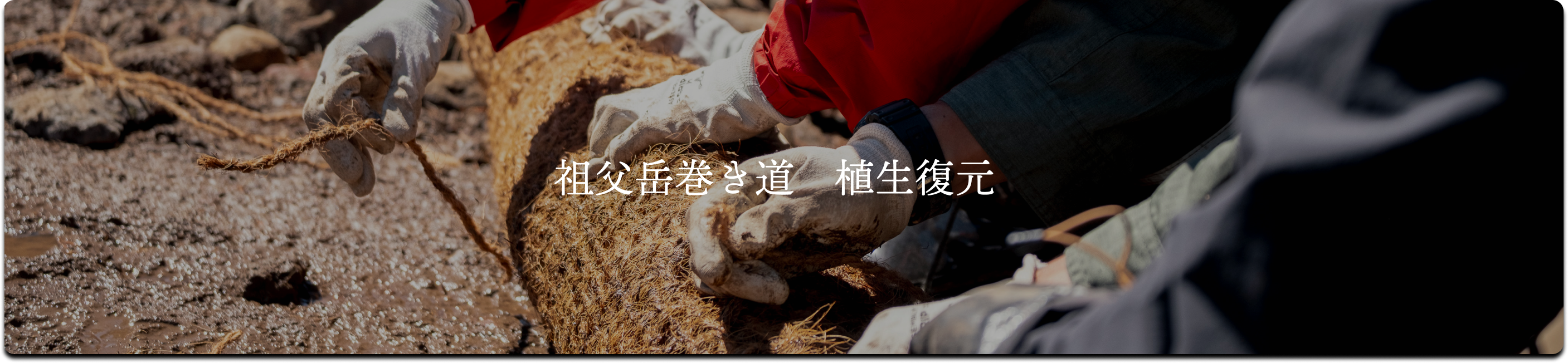 祖父岳巻き道植生復元