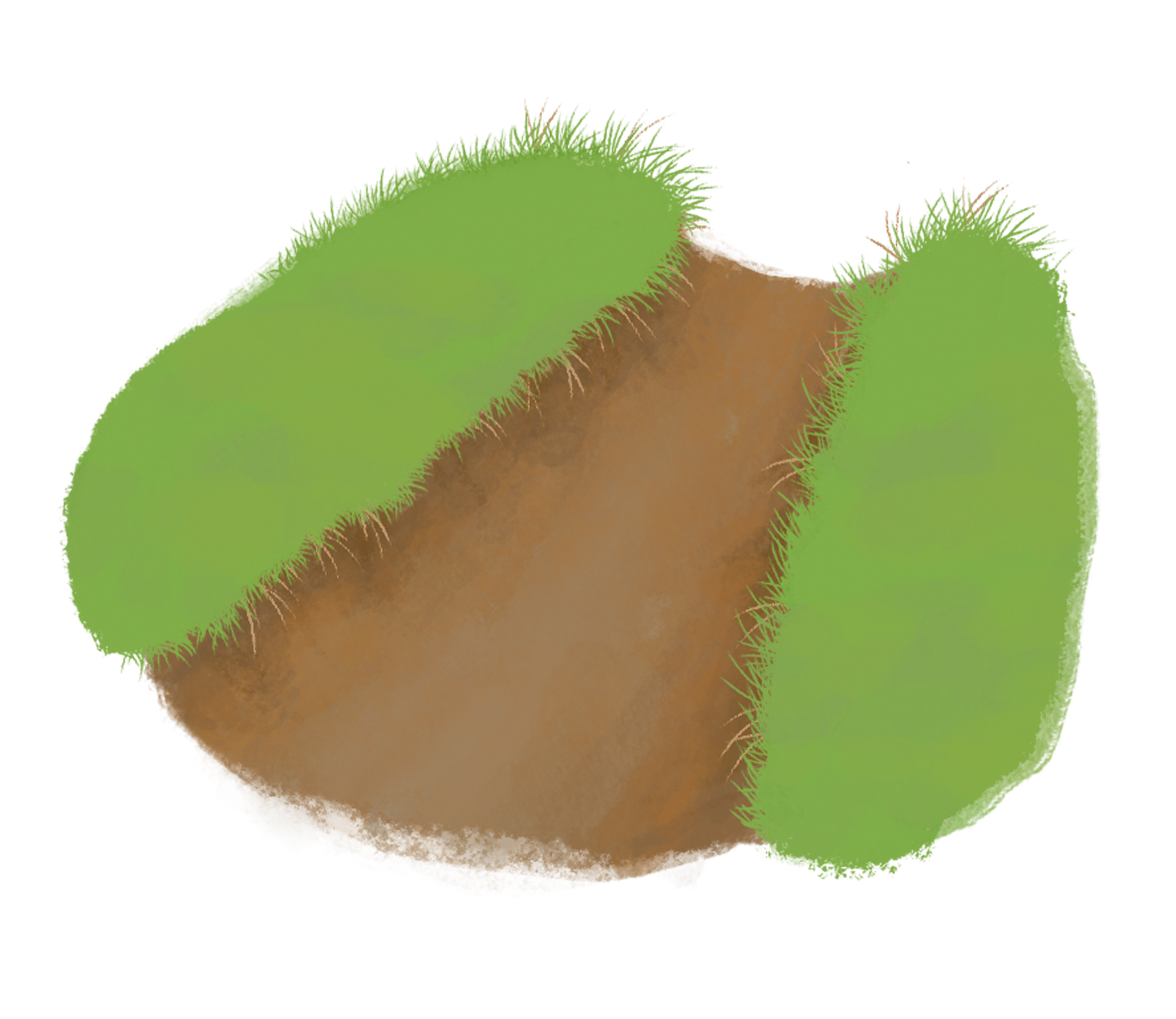 現場調査のイラスト
